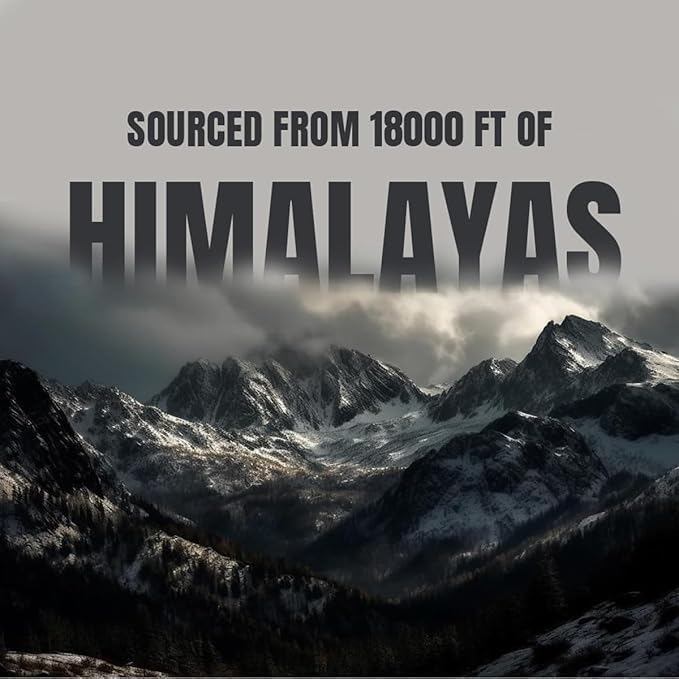 Himalayan Shilajit Honey Sticks with Saffron