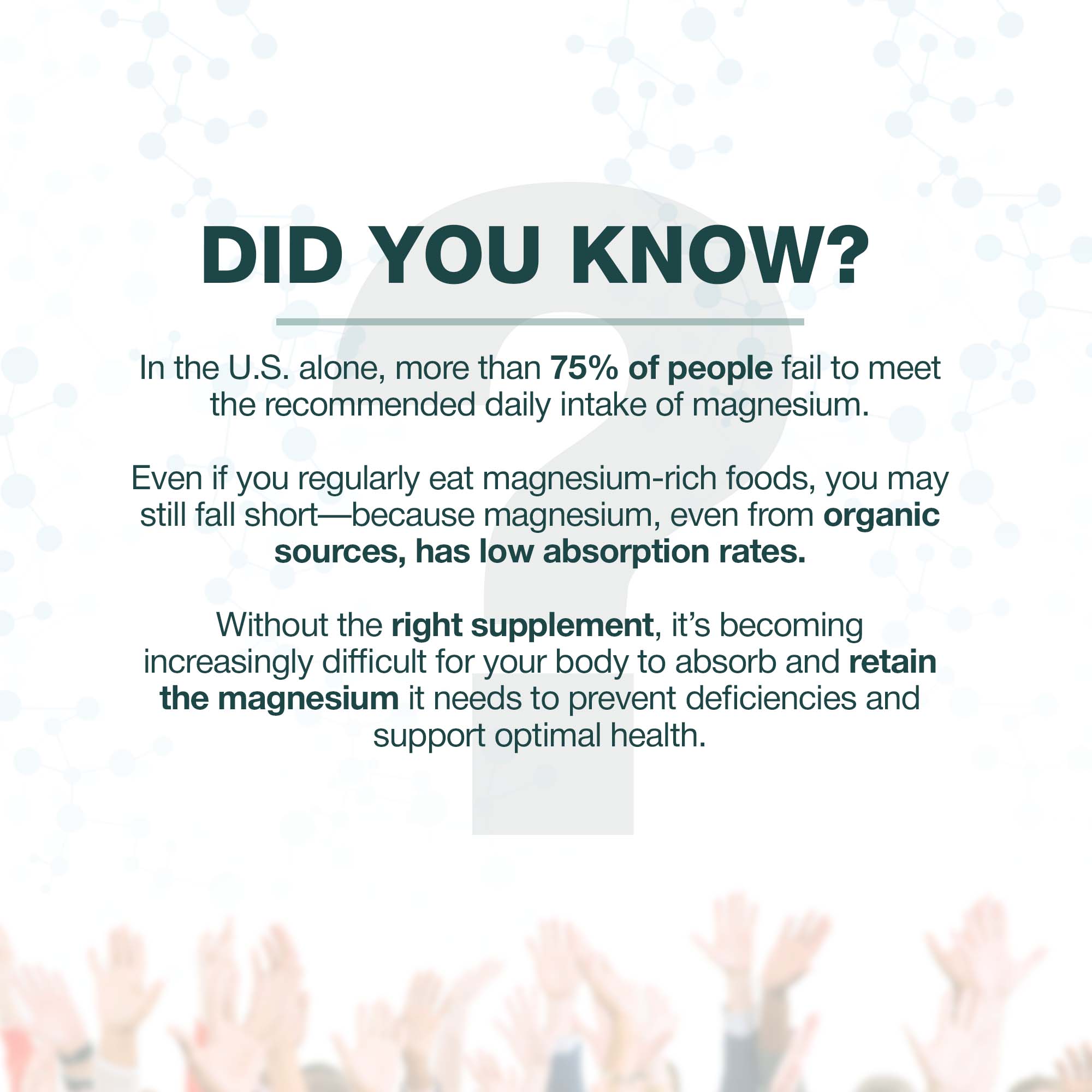 PureMag+ Premium Magnesium Complex