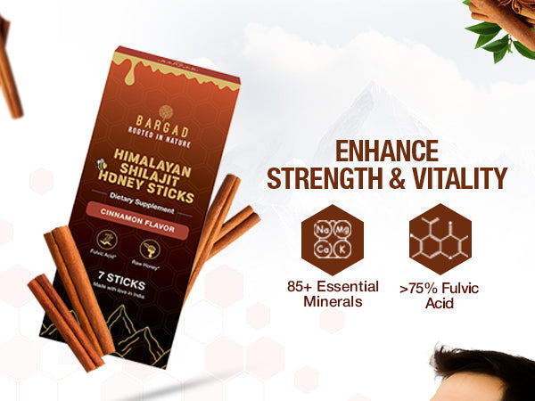 Pure Himalayan Shilajit Sticks with Organic Honey & Cinnamon (7 Count)