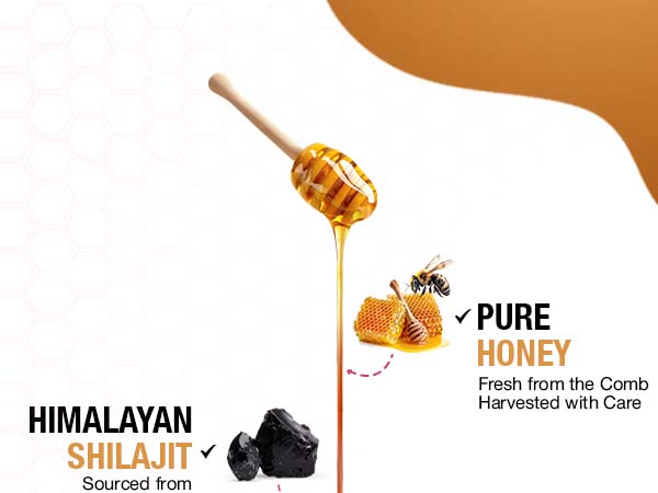 Himalayan Shilajit Honey Sticks with Saffron