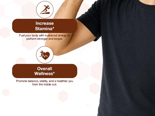 Pure Himalayan Shilajit Sticks with Organic Honey & Caramel (7 Count)