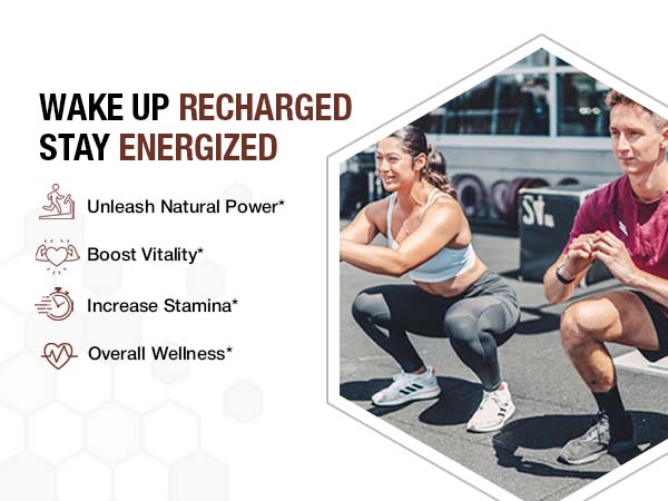 BARGAD Pure Himalayan Shilajit Sticks with Organic Honey & Saffron (7 Count)