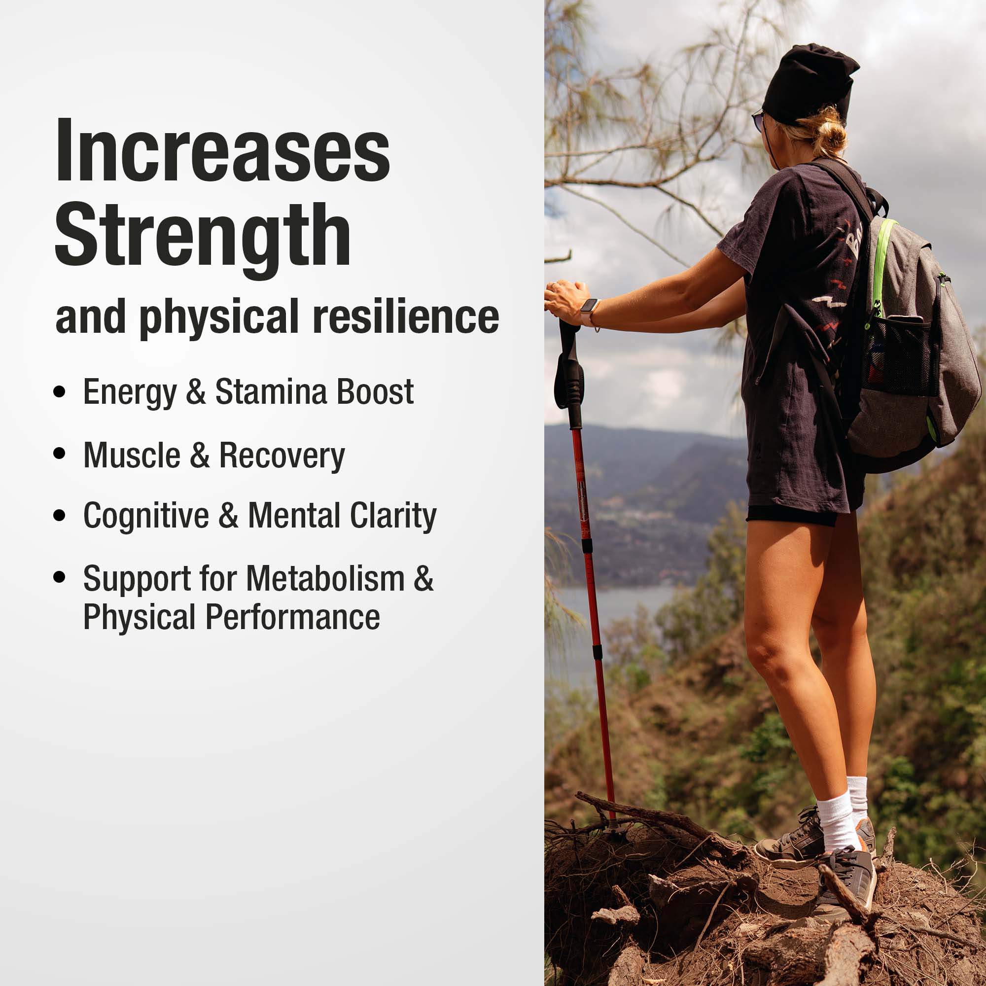 Pure Himalayan Shilajit Dry Drops 400MG