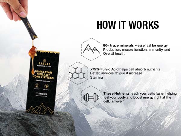 BARGAD Pure Himalayan Shilajit Sticks with Organic Honey & Saffron (7 Count)