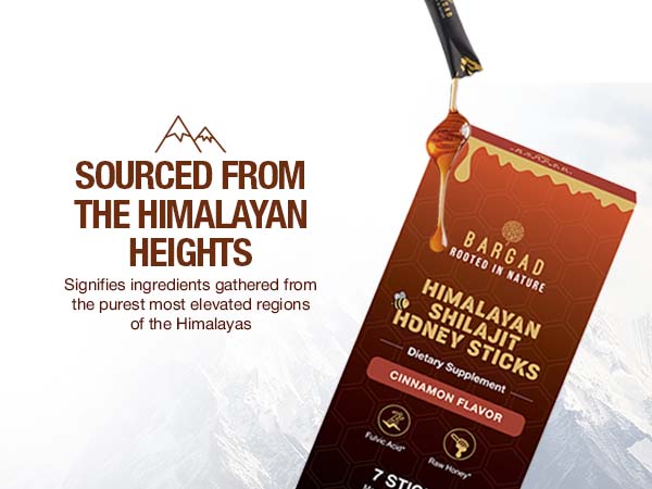 Pure Himalayan Shilajit Sticks with Organic Honey & Cinnamon (7 Count)