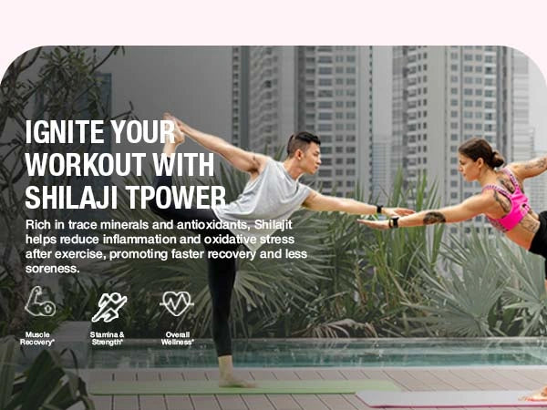 Shilajit Honeystick Strawberry 30 Stick