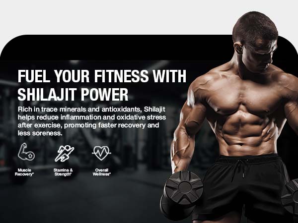 BARGAD Pure Himalayan Shilajit Sticks with Organic Honey & Saffron (7 Count)