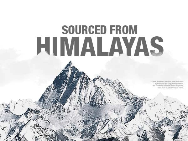 Pure Himalayan Shilajit Dry Drops 400MG