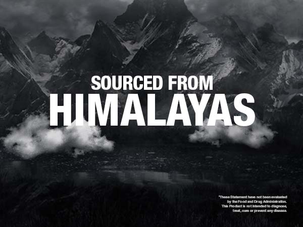 BARGAD Pure Himalayan Shilajit Sticks with Organic Honey & Saffron (7 Count)