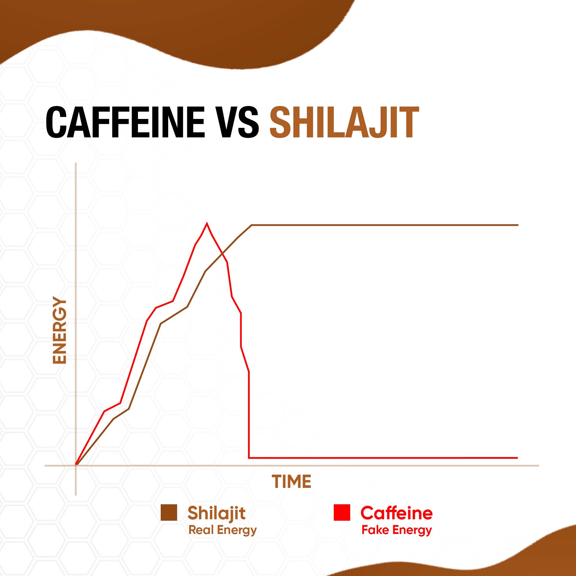 Pure Himalayan Shilajit Sticks with Organic Honey & Caramel (30 Count)