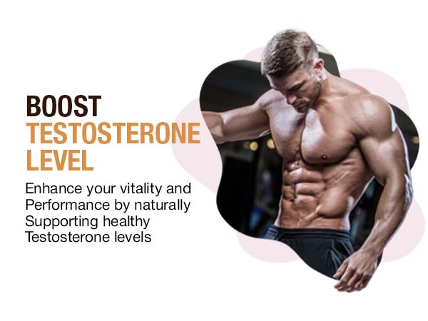 Himalayan Shilajit Honey Sticks with Saffron