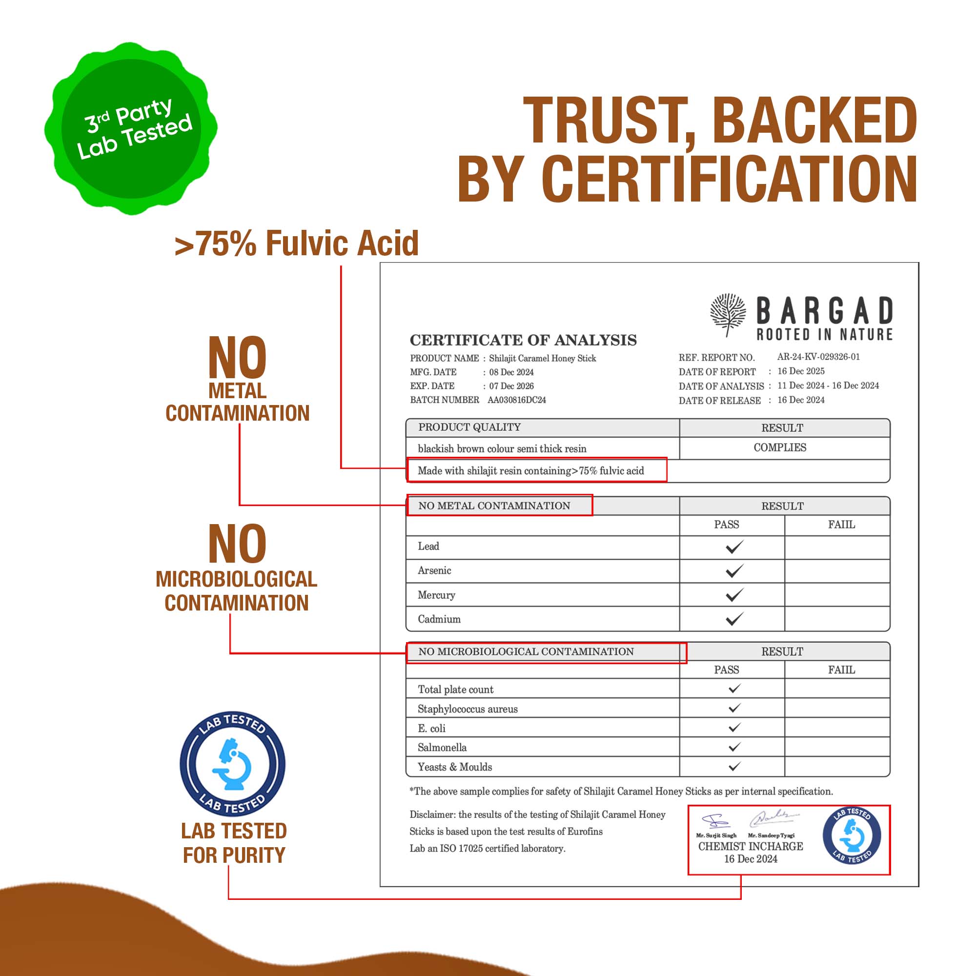 Pure Himalayan Shilajit Sticks with Organic Honey & Caramel (30 Count)