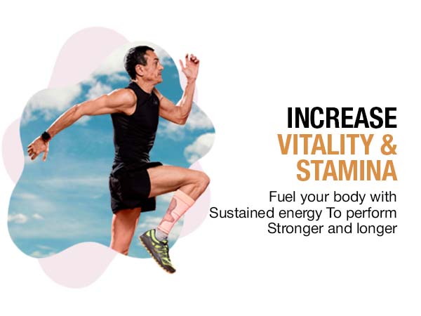 Himalayan Shilajit Honey Sticks with Saffron