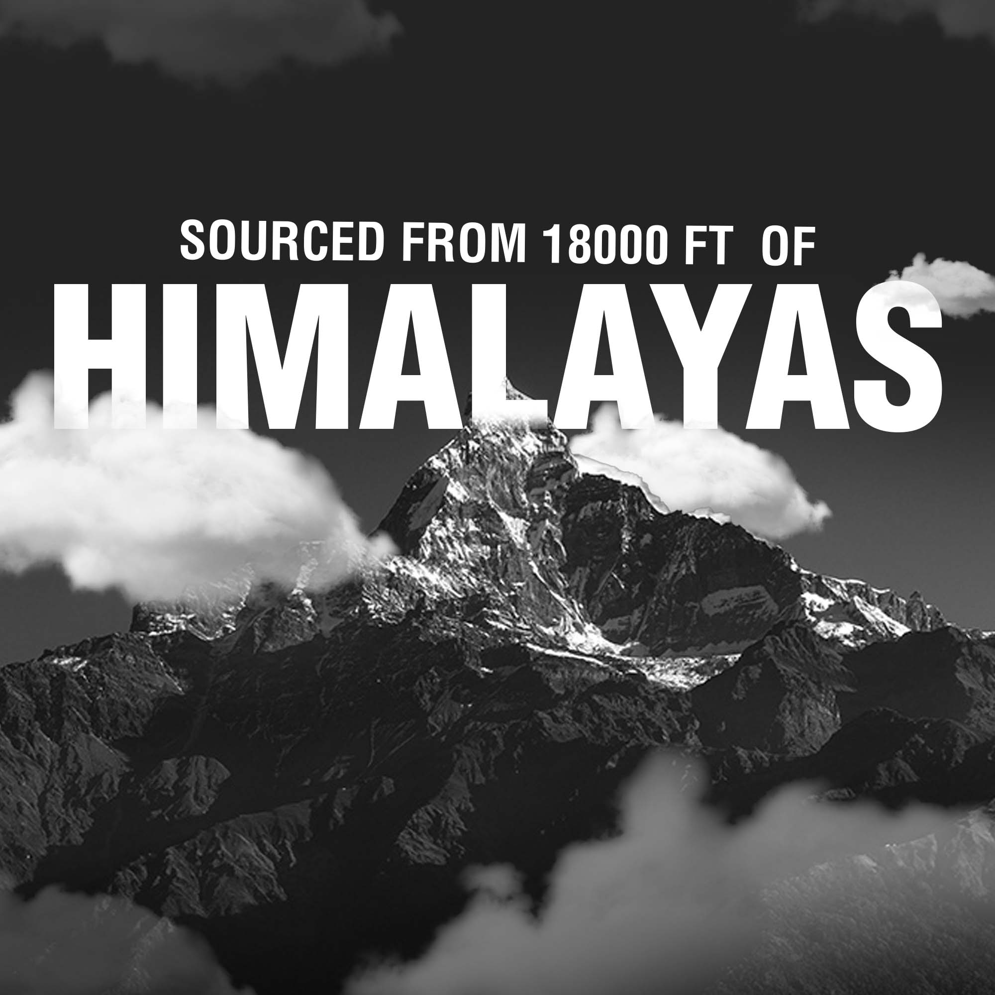 Pure Himalayan Shilajit Sticks with Organic Honey & Dark Chocolate – 30 Count