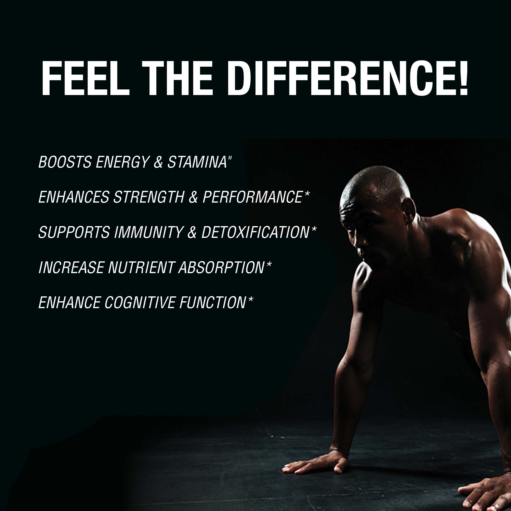 Pure Himalayan Shilajit Sticks with Organic Honey & Dark Chocolate – 7 Count